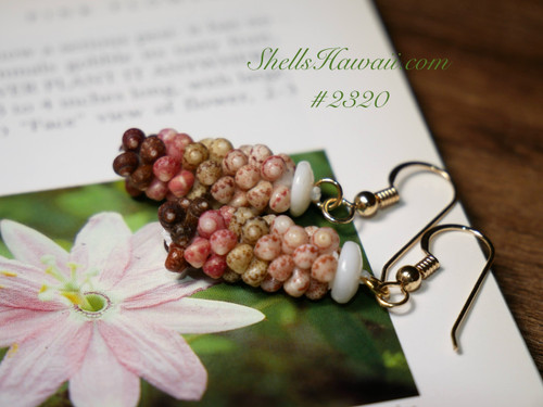 1" Kahelelani poepoe style shell earrings #2320 1" Kahelelani poepoe style shell earrings #2320