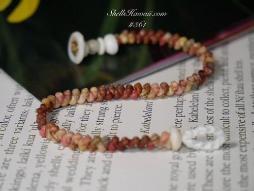 7 ½" Kahelelani Shell Bracelet – Herringbone Style #361