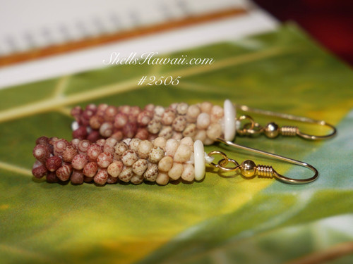 Authentic Niʻihau Kahelelani Shell Earrings – 1 1/4