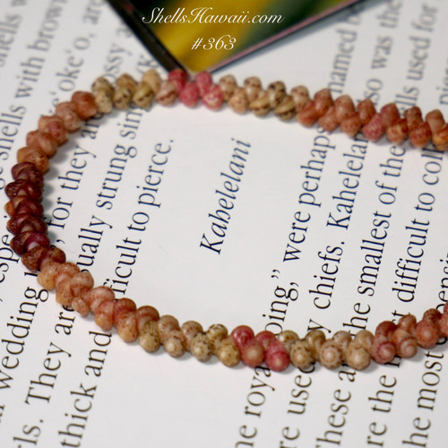 8” Kahelelani shell bracelet #363