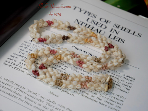 25" " Niihau shell necklace made with Momi & Kahelelani shells #1076