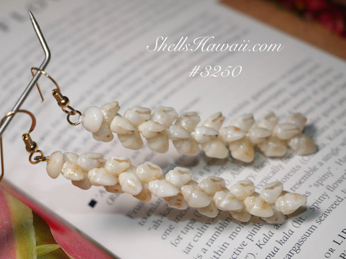 2.5" " Niihau shell earrings made of Momi shells #3250