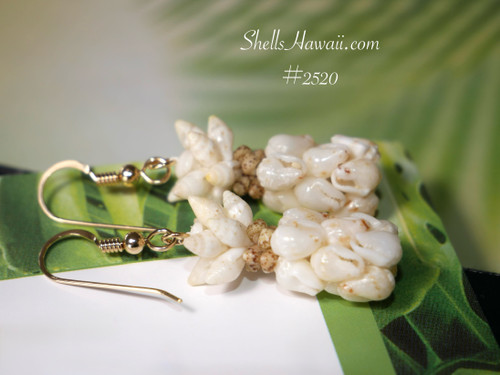 1 1/8" Niihau shell earrings/ Pineapple style! #2520