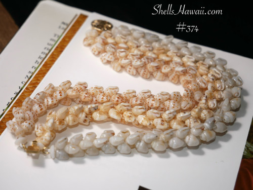 7½" Niʻihau shell bracelet in triple-strand Pikake style crafted with brown-spotted ʻŌnikiniki, yellow Lenalena, and blue ʻUliʻuli Momi shells, strung with aloha