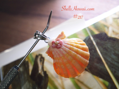 Sunrise shell pendant #217