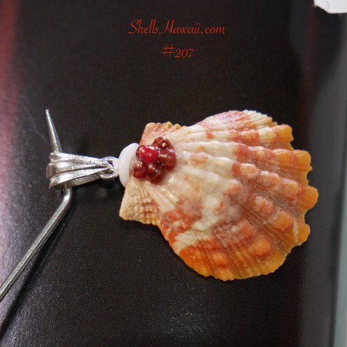 Sunrise Shell Pendants – Rare Hawaiian Jewelry Treasures