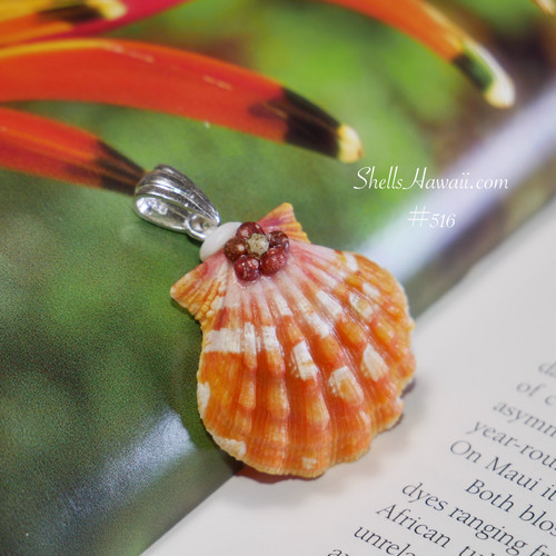 Pendants - Sunrise shell pendants - Page 1 - ShellsHawaii.com