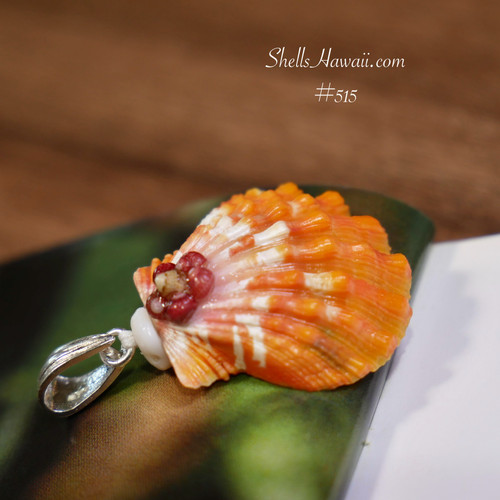 Sunrise shell pendant #515