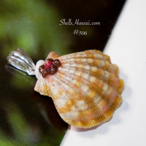 サンライズシェル ペンダント Sunrise Shell Pendants – Rare Hawaiian Jewelry Treasures