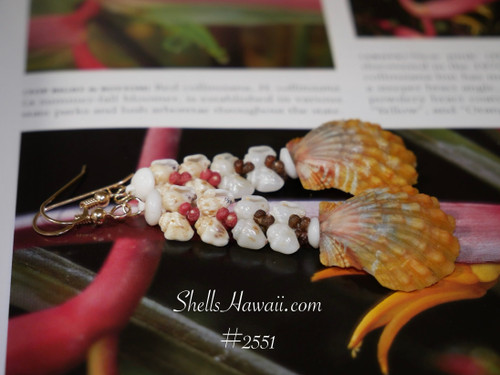 Sunrise Shell Earrings – Genuine Hawaiian Ocean Jewelry
