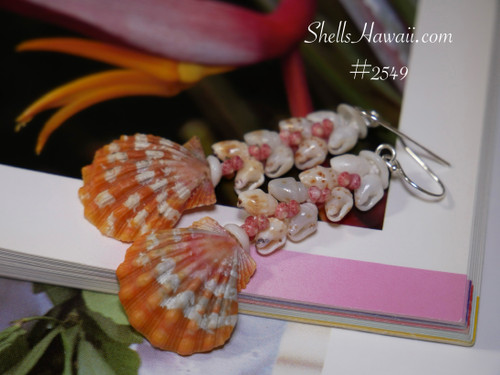 2" Niihau shell earrings with Sunrise shells #2549