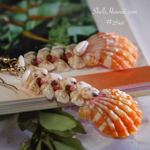 Sunrise Shell Earrings – Genuine Hawaiian Ocean Jewelry