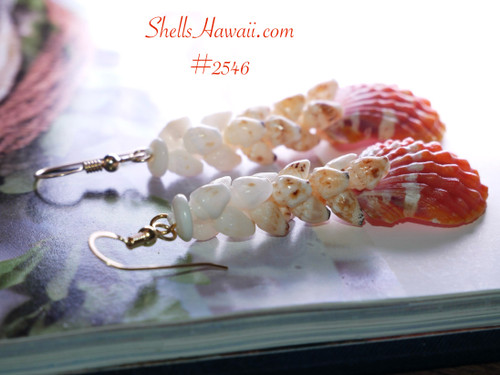 Sunrise Shell Earrings – Genuine Hawaiian Ocean Jewelry