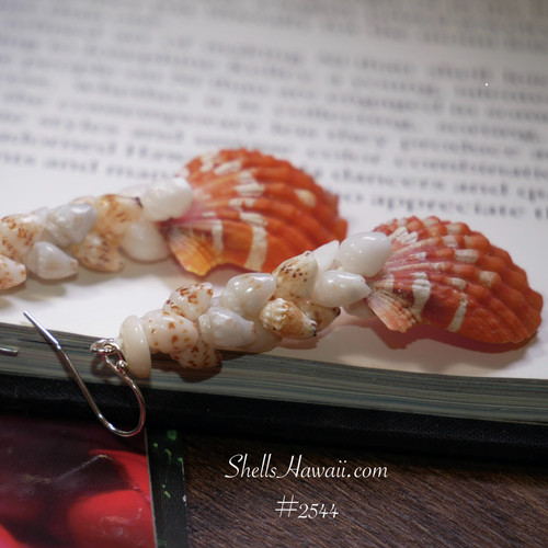 Sunrise Shell Earrings – Genuine Hawaiian Ocean Jewelry
