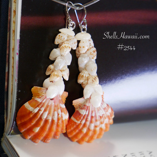sunrise shell earrings