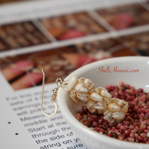 320 pcs Niihau shell supply/Momi shells+ Instruction how to create crown flower style shell earrings #2621 320 pcs Niihau shell supply/Momi shells+ Instruction how to create crown flower style shell earrings #2621