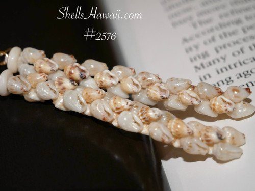 Close-up of Momi shells showing harmonious blend of ʻUliʻuli blue and Lenalena yellow; polished shells with gentle movement on 2¾″ drop.