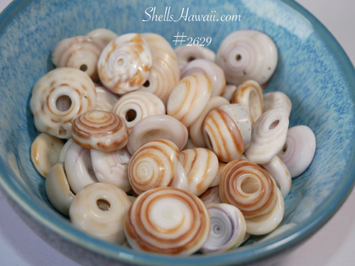 #2629
Assorted Hawaiian Puka shells in mixed sizes showing natural colors and good luster