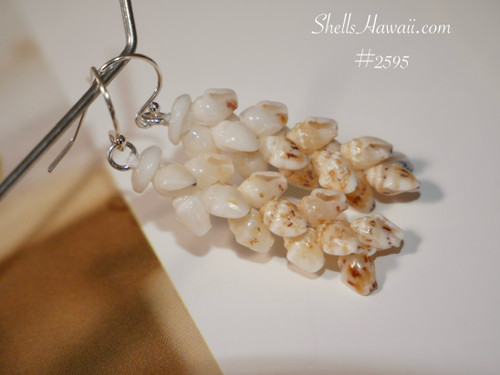 1 1/4″ Pūpū O Niʻihau Ombre Style earrings blending white Keʻokeʻo tones with soft tan and golden hues from Lenalena momi shells; light and glowing cluster design.