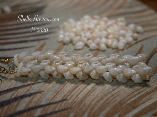 3¼″ Pikake style Niʻihau Momi earrings featuring ocean light blue ʻŪliʻuli shells with soft off-white accents; flowing, graceful floral silhouette.