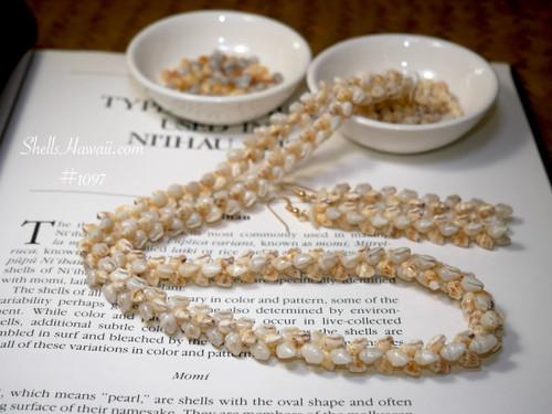 Authentic Niʻihau shell jewelry set featuring a 23" lei made with Momi Lenalena (golden yellow) and Momi ʻŪliʻuli ʻĀhiehie (light blue). Matching 2 ¾" earrings with 14k gold-filled findings complete this rare set.