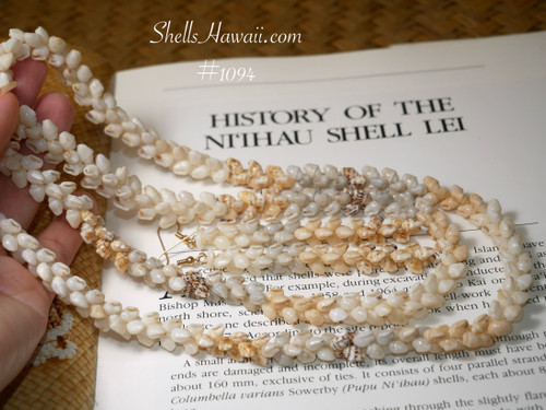 ニイハウ シェル レイ　ニイハウシェルのネックレス Niʻihau Shells ニイハウ シェル レイ ニイハウシェルのネックレス Niʻihau Shell