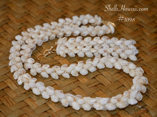 ニイハウ シェル レイ　ニイハウシェルのネックレス Niʻihau Shells ニイハウ シェル レイ ニイハウシェルのネックレス Niʻihau Shell