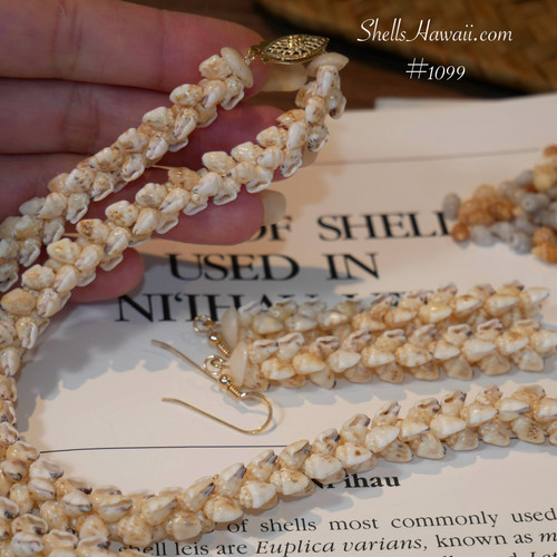 ニイハウ シェル レイ　ニイハウシェルのネックレス Niʻihau Shells ニイハウ シェル レイ ニイハウシェルのネックレス Niʻihau Shell