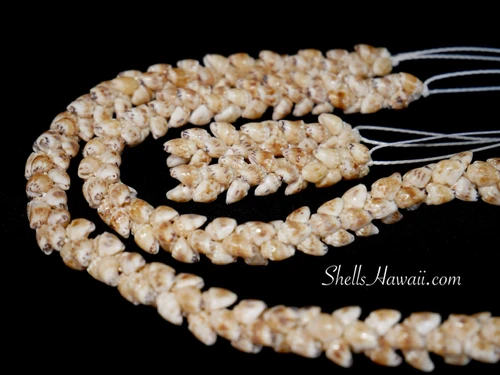 Close-up of Momi shell lei and matching earrings arranged in a circle, showing balanced matching of vibrant yellow Lenalena Momi shells, highlighting color consistency, luster, and careful selection before finishing with clasp.