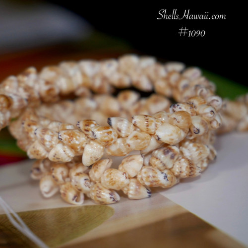 Ni'ihau Shell Leis – Handwoven Hawaiian Shell Leis with Aloha