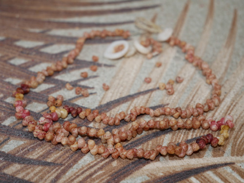 Close-up of restored Kahelelani shell lei showing burgundy and golden yellow shells with pink and brown accents