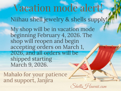 Vacation mode announcement for ShellsHawaii showing a beach chair on the sand with text explaining shop closure dates and reopening in March 2026