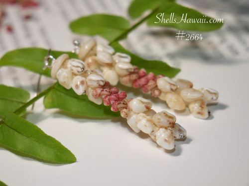 nier_2664
Kipona style Niʻihau shell earrings made with momi and kahelelani shells, lightweight everyday Hawaiian shell jewelry