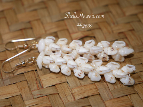 Close up of Niʻihau Momi shell Pikake earrings with off white shells and subtle brown spotting, pearl like shine