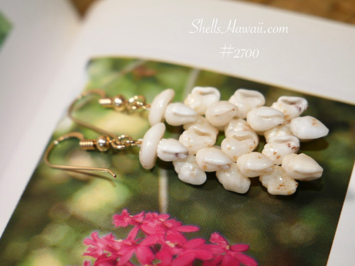 Close up of Niʻihau Momi shell Pikake earrings showing off white shells with subtle brown spotting and soft pearl like shine on gold filled hooks