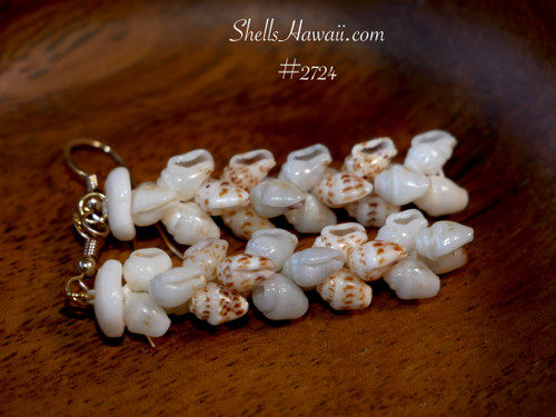 Authentic Niihau shell earrings Pikake style made with Momi shells, traditional Hawaiian shell jewelry, beach inspired jewelry gift