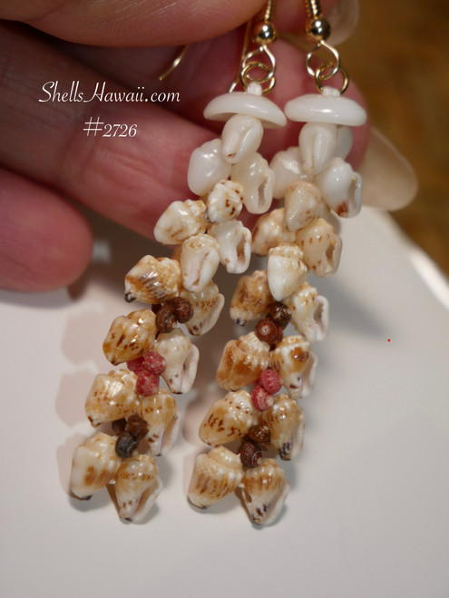 Authentic Niʻihau shell earrings Kipona style made with Momi shells and Kahelelani shells, yellow to white ombre Hawaiian shell jewelry 貝殻ピアス ハワイアンジュエリー