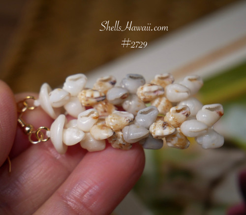 nier_2729
Niʻihau shell Pikake style earrings made with genuine Momi shells in white Keʻokeʻo, yellow Lenalena and rare medium blue ʻŪliʻuli Hawaiian shell jewelry