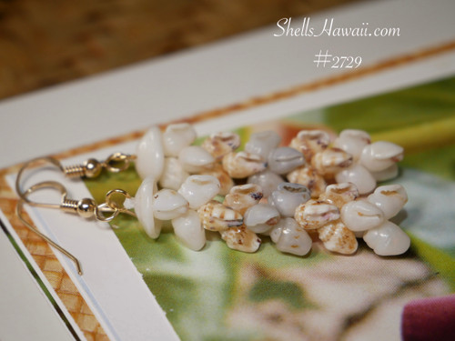 Hawaiian seashell jewelry Pikake earrings with authentic Niʻihau Momi shells in white Keʻokeʻo, yellow Lenalena and rare medium blue ʻŪliʻuli tones