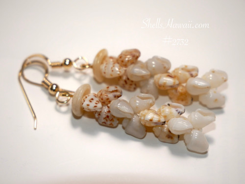 Pikake style Niʻihau shell earrings with mixed color Momi shells Hawaiian shell jewelry