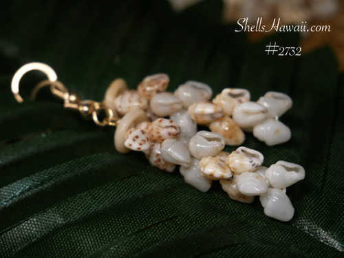 nier_2732
Pikake style Niʻihau shell earrings with mixed color Momi shells Hawaiian shell jewelry