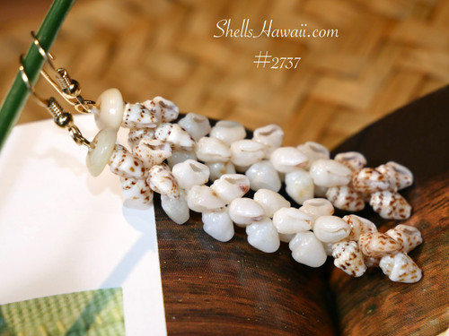 nier_2737
Pikake style Niʻihau shell earrings made with genuine Momi shells in brown spotted ʻŌnikiniki and off white Keʻokeʻo Hawaiian shell jewelry
