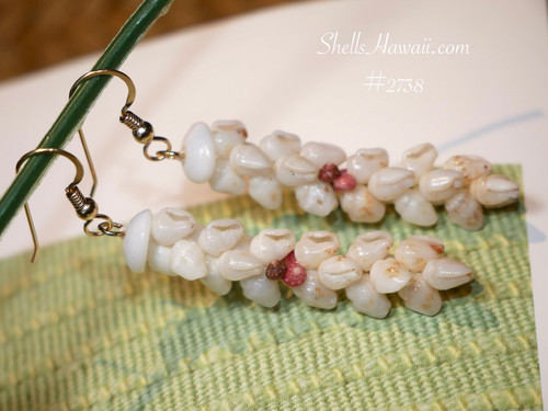 Authentic Niʻihau shell Kipona earrings made with Keʻokeʻo Momi shells with warm brown markings and pink brown Kahelelani shells island jewelry gift (ニイハウシェル)