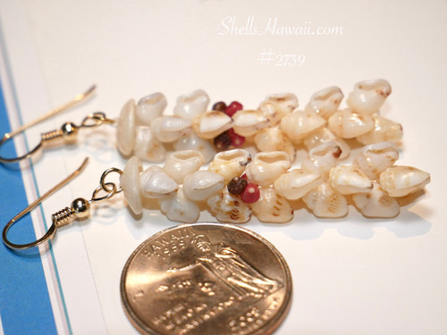 nier_2739
Kipona style Niʻihau shell earrings with Lenalena yellow Momi shells fading to off white Keʻokeʻo with light blue tint and pink Kahelelani accents Hawaiian shell jewelry (貝殻ピアス)
