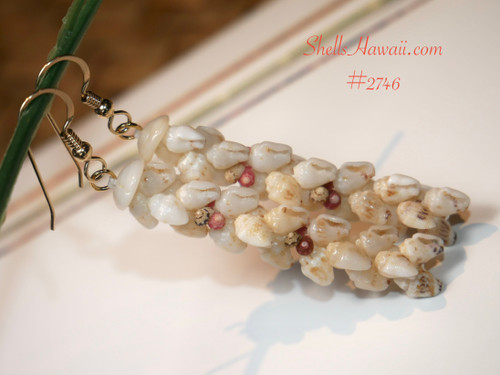 authentic niihau shell kipona earrings handcrafted with momi shells and colorful kahelelani shells tropical hawaiian seashell jewelry