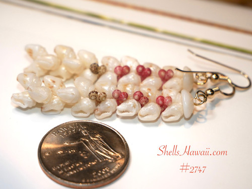 authentic niihau shell kipona earrings handcrafted with momi shells and green and pink kahelelani shells tropical hawaiian seashell jewelry