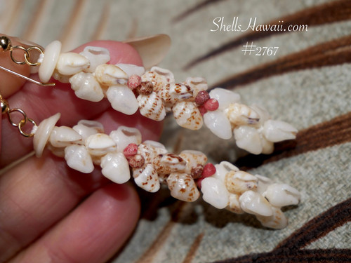 Kipona-Style Niʻihau Shell Earrings | ShellsHawaii.com
