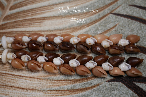 hawaiian shell earrings poleho dark brown caramel and momi off white black waha shells