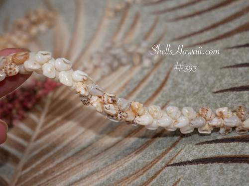 Niihau momi shell bracelet close up in hand showing small size shells with natural variation in color and texture
