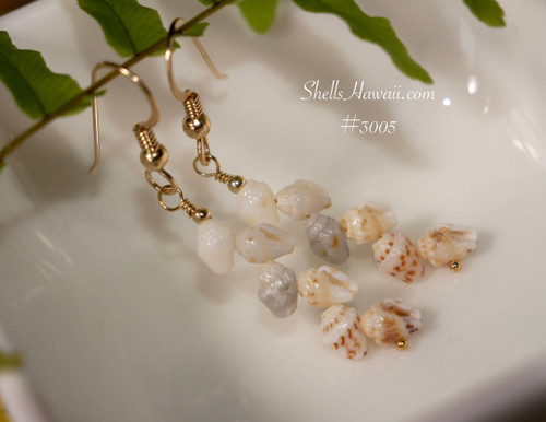 Dainty Niihau shell earrings with mixed momi shells off white cream gray and brown spotted natural shells lightweight design